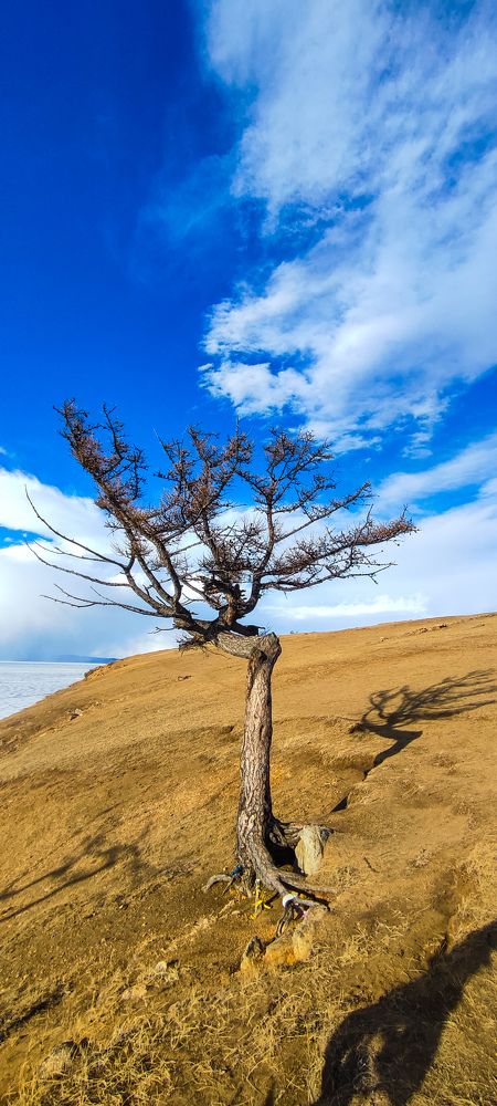 Фотография автора Оркина Ксения
