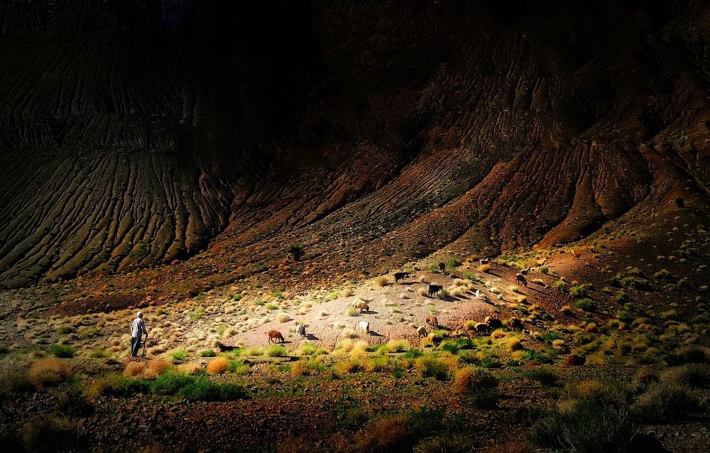 Photograph by Akhoondi Hannaneh