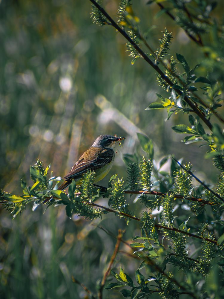 Photograph by Ольга Волкова