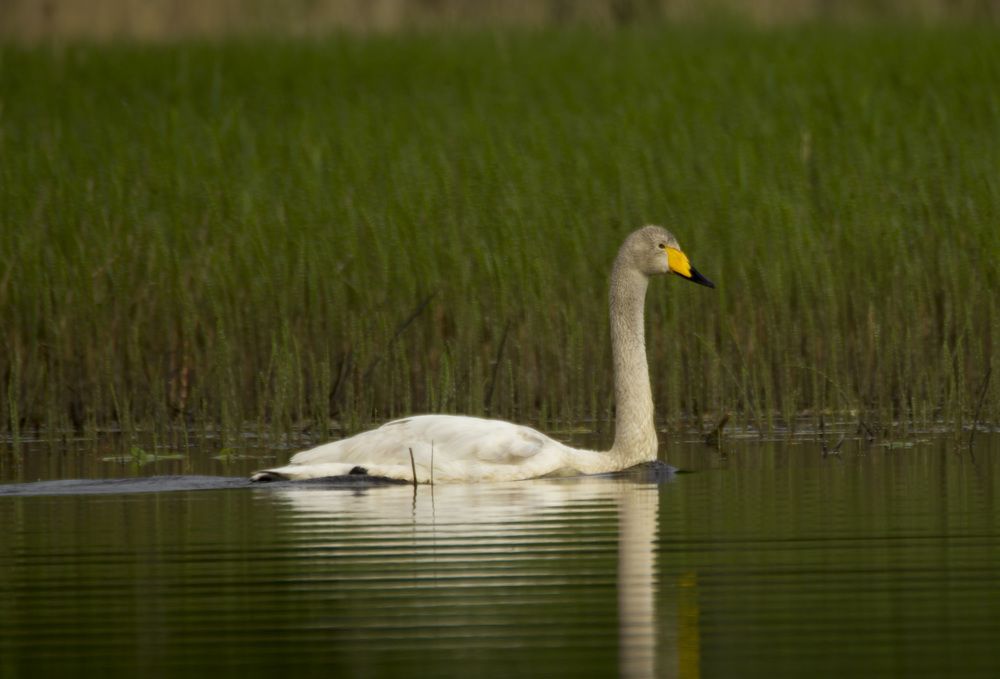 Фотография автора Александр Собокарь