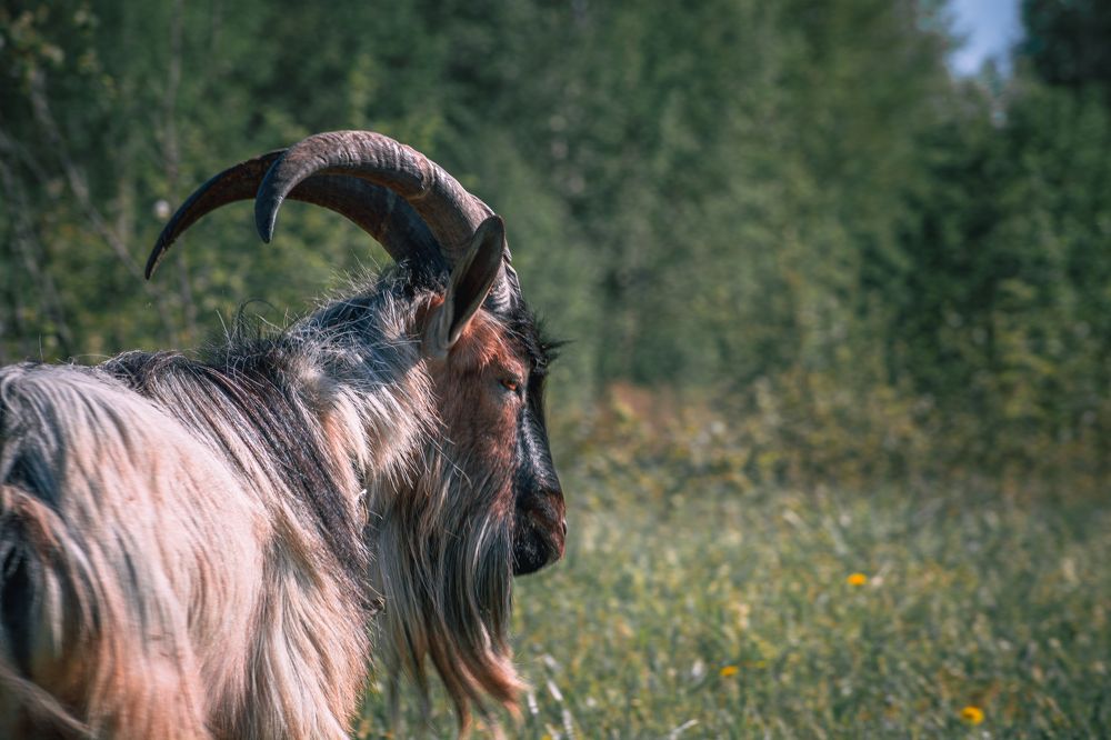 Photograph by Ольга Волкова