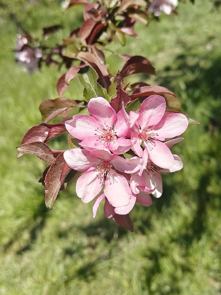 Photograph by Антонина Завальнюк