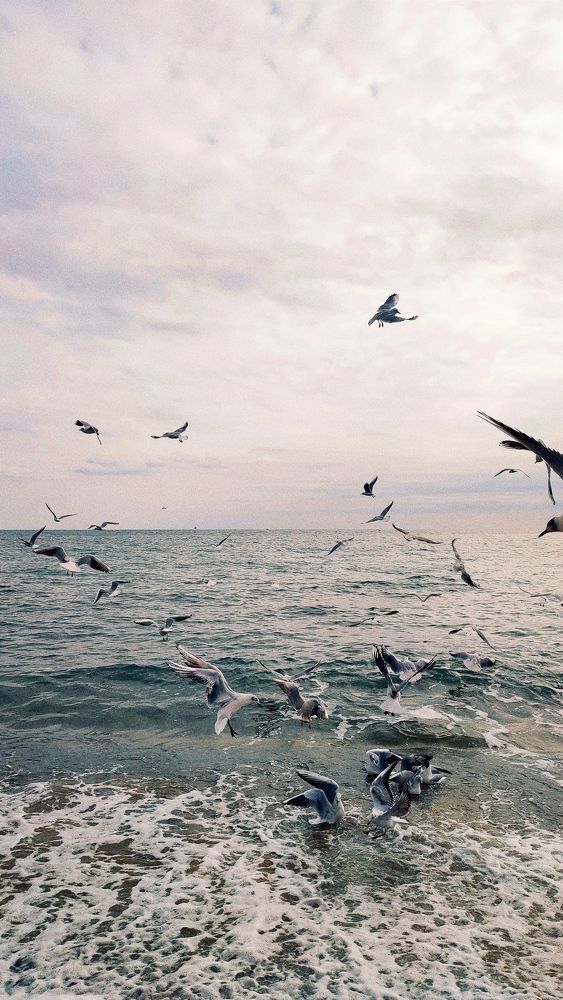 Photograph by Валентина Протащик