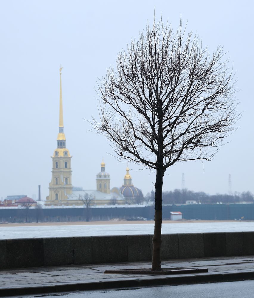 Photograph by Станислав Вершинин