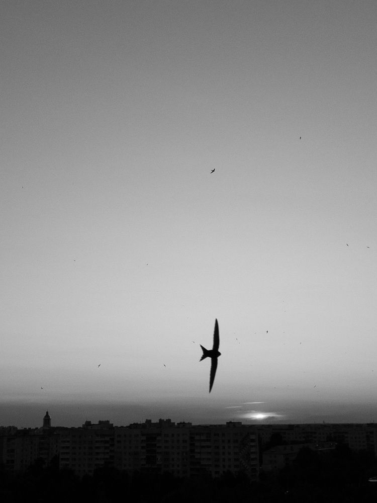 Photograph by Дарья Махнёва