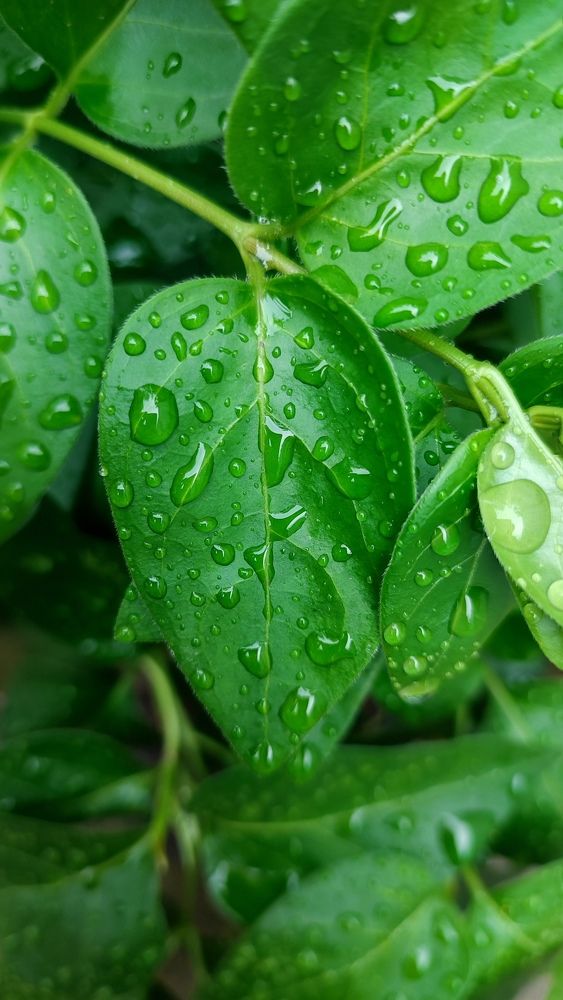 Photograph by Валентина Протащик