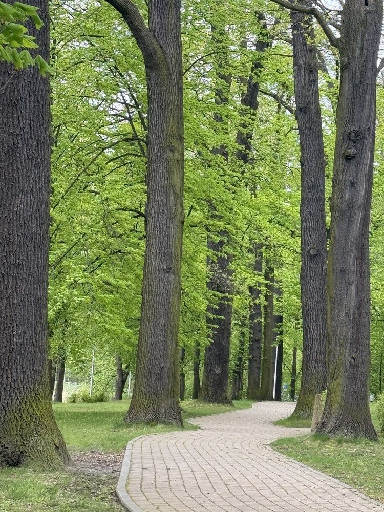 Фотография автора Sheikh Masud