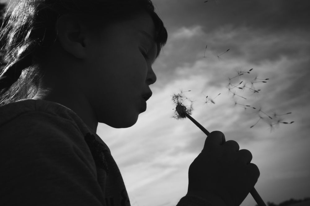 Photograph by Paolo Mangoni