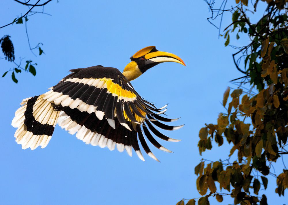 Photograph by Aravind Sanjayan