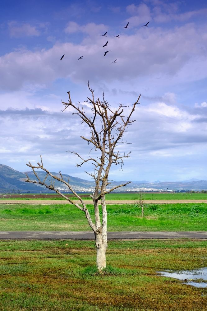 Фотография автора Dmitry