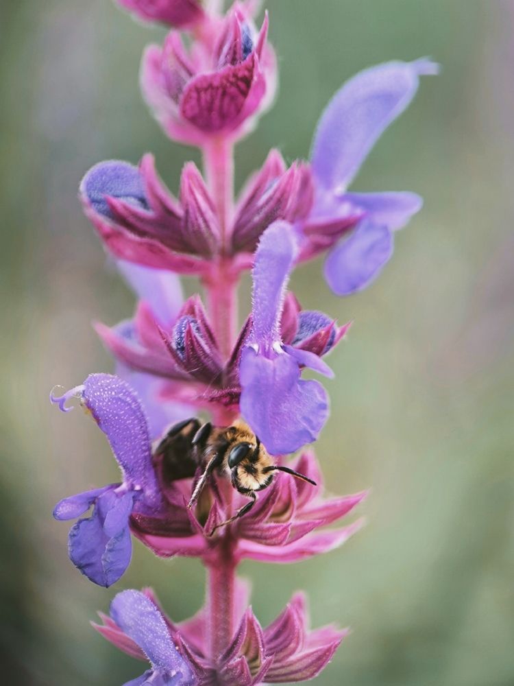 Фотография автора Екатерина Солодовник