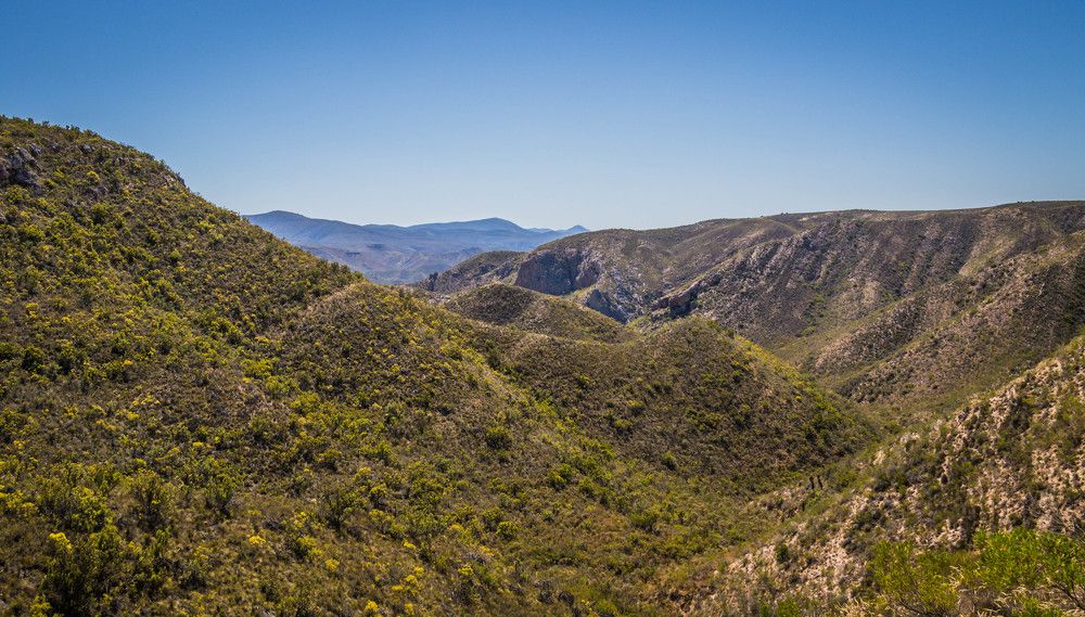 Photograph by Malinda Badenhorst