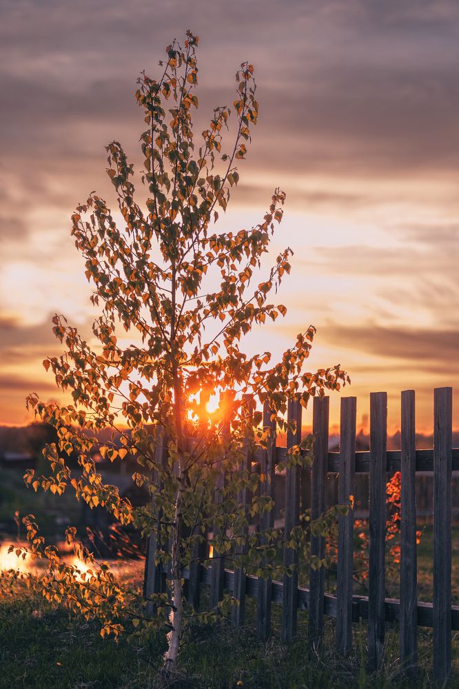 Photograph by Ilya Merkulov