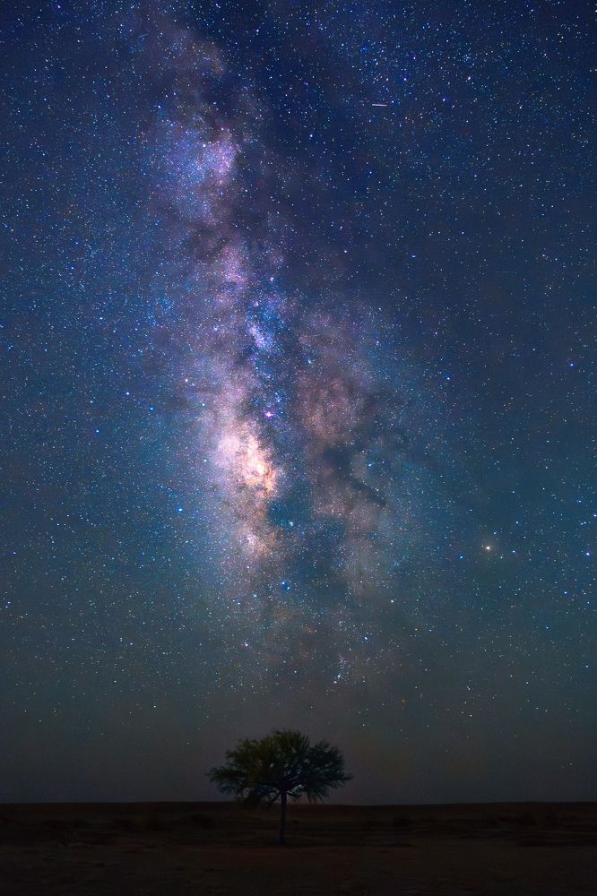 Photograph by Mustafa Al shaibani