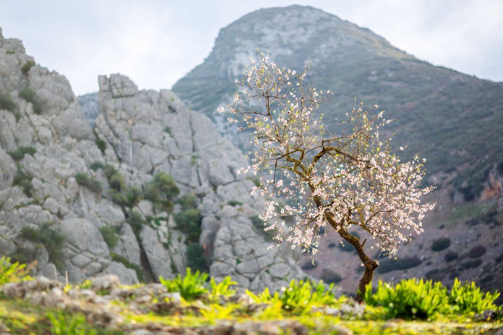 Photograph by Olga Yarovenko