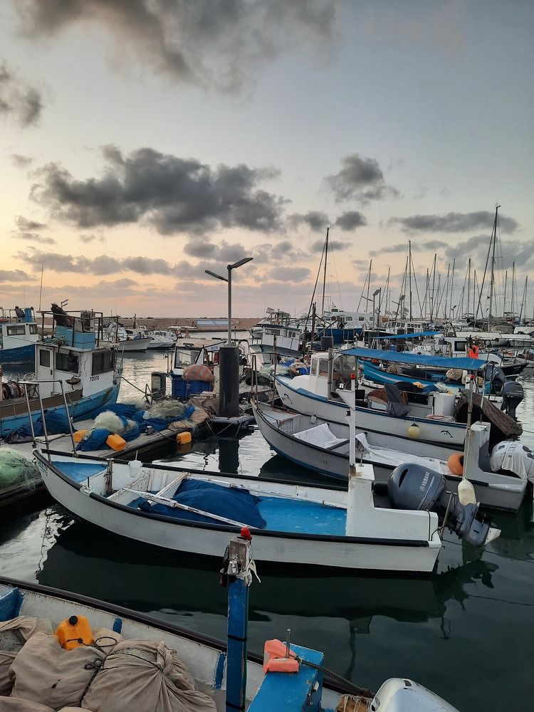 Фотография автора Tetiana Danylenko