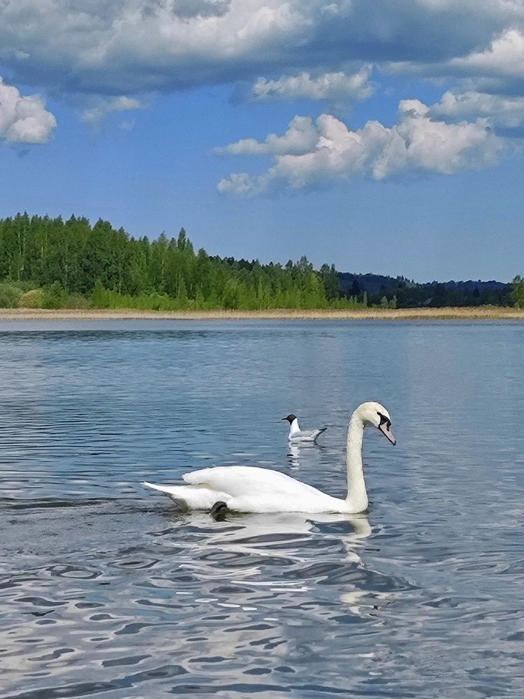 Photograph by Олеся Хижко