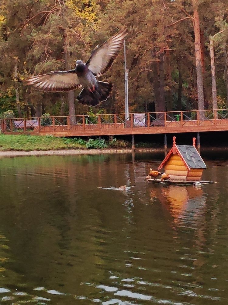 Photograph by Олеся Хижко