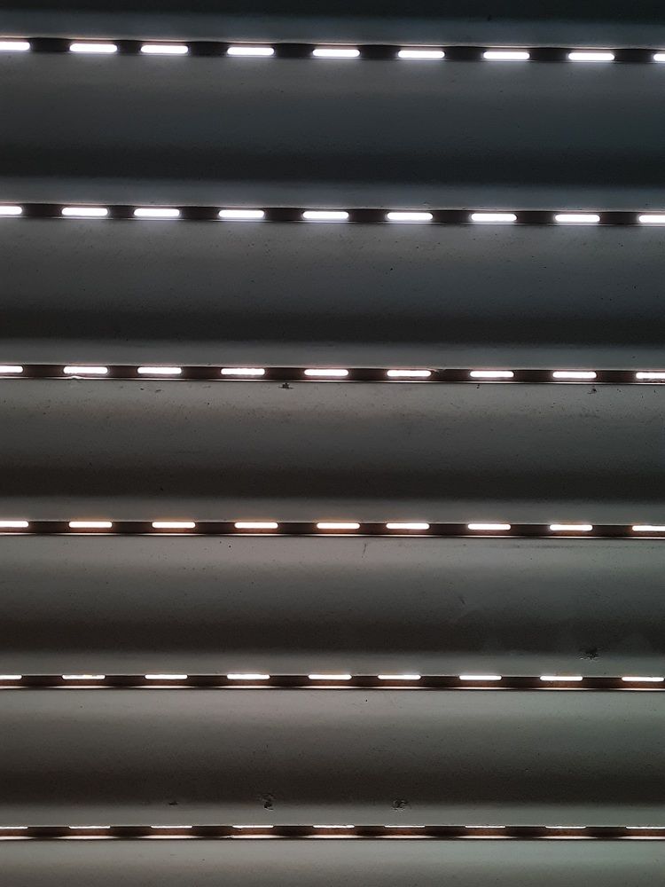 Фотография автора Tetiana Danylenko