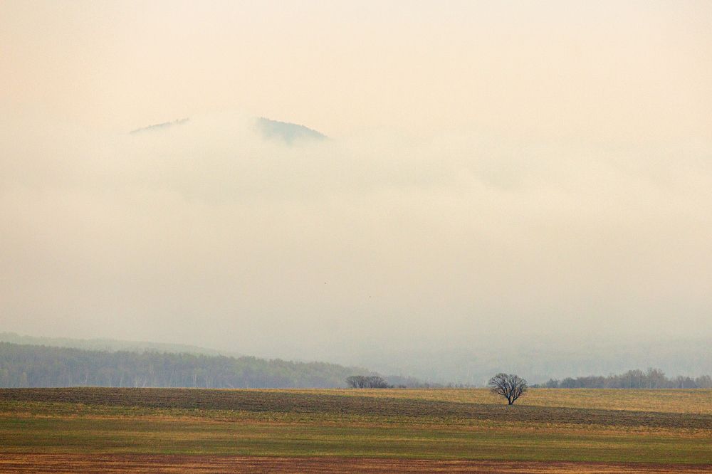 Photograph by Sergey Tsubanov