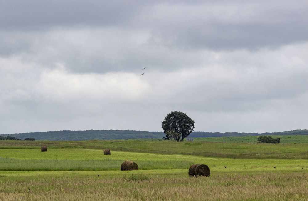 Photograph by Sergey Tsubanov