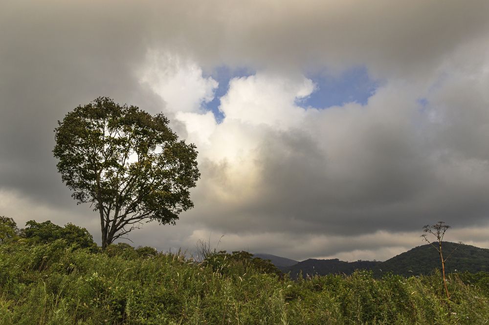 Photograph by Sergey Tsubanov