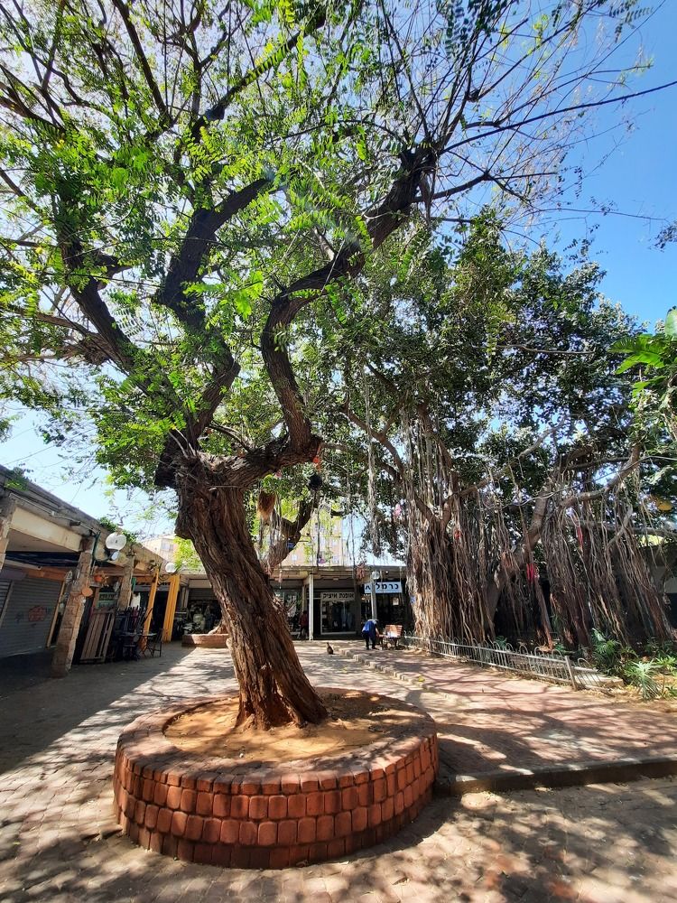 Фотография автора Tetiana Danylenko