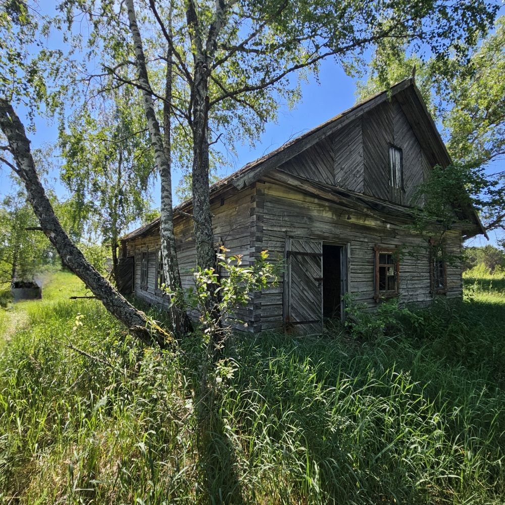 Photograph by Елена Глинская