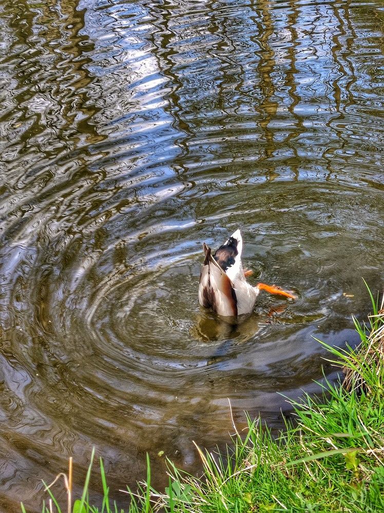 Photograph by Олеся Хижко