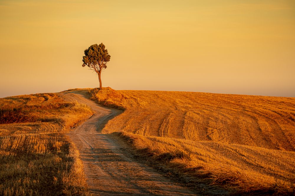 Photograph by mk4oto