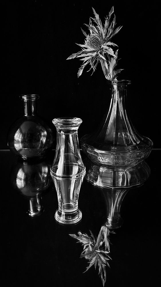 Photograph by Алена Жирова