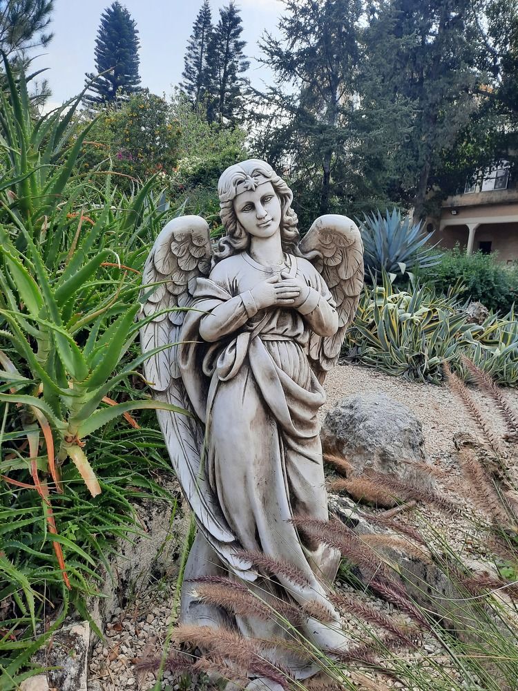 Фотография автора Tetiana Danylenko