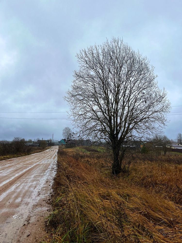 Photograph by Наталья Простова