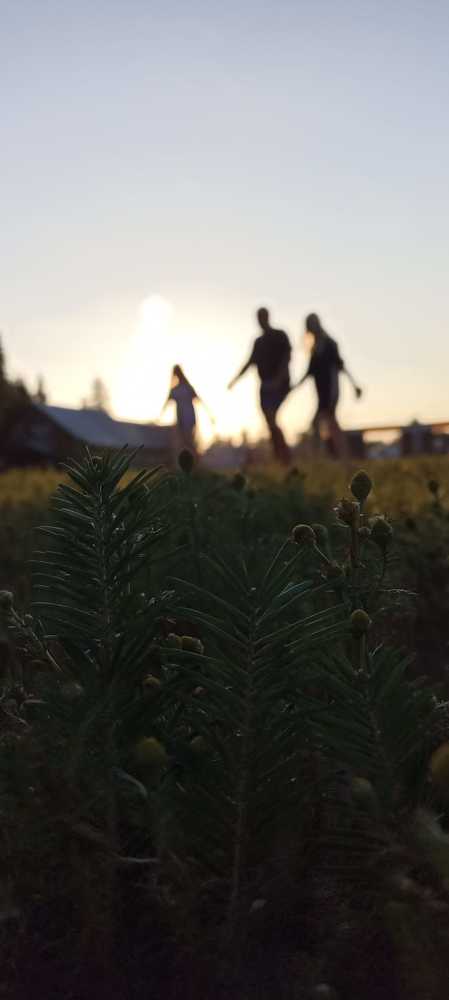 Фотография автора Дмитрий Андреевич