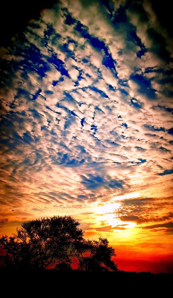 Photograph by Nidhi Singh