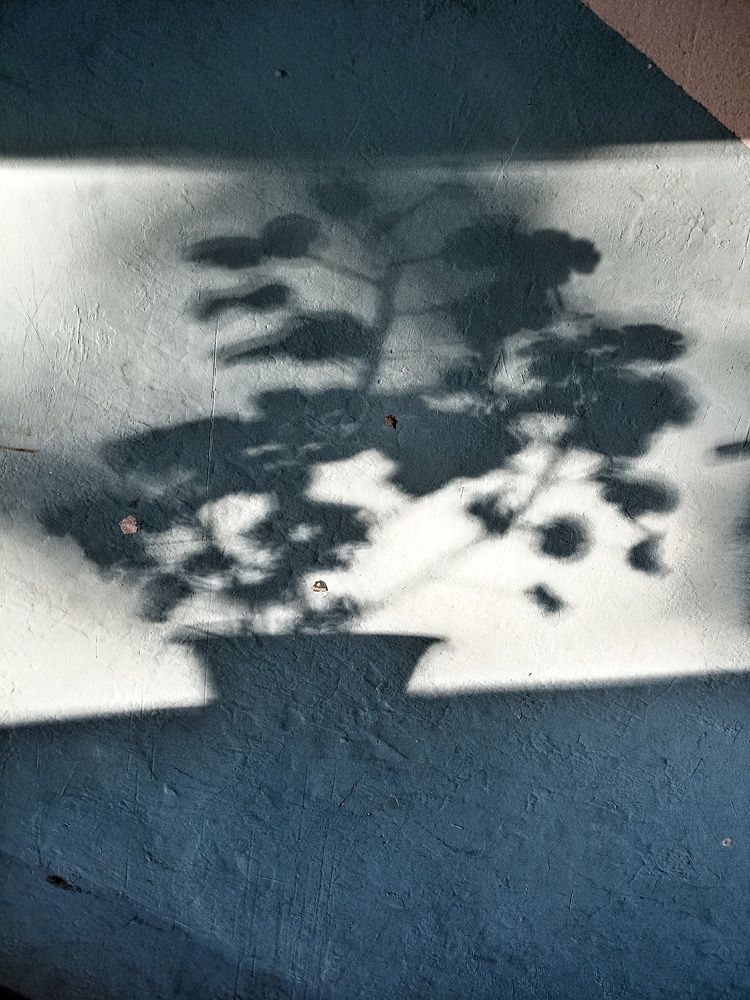 Photograph by Хамитова Светлана