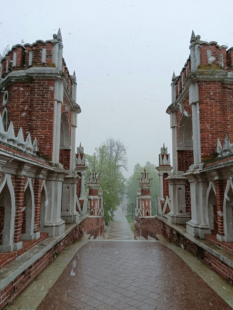 Photograph by Elena Mozhaeva