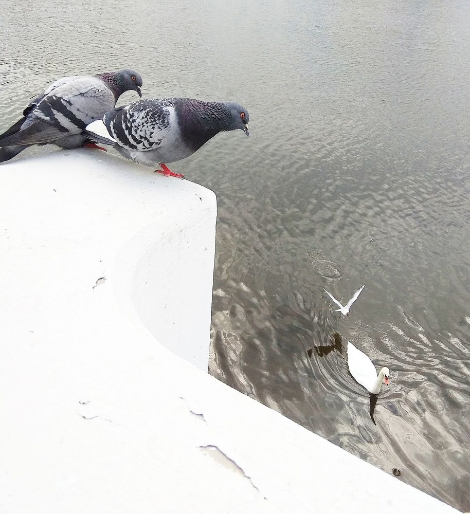 Photograph by Татьяна Кунц