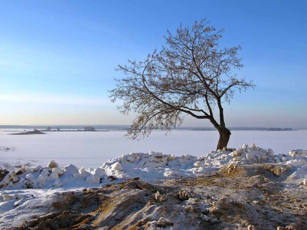 Photograph by Михаил Янкин