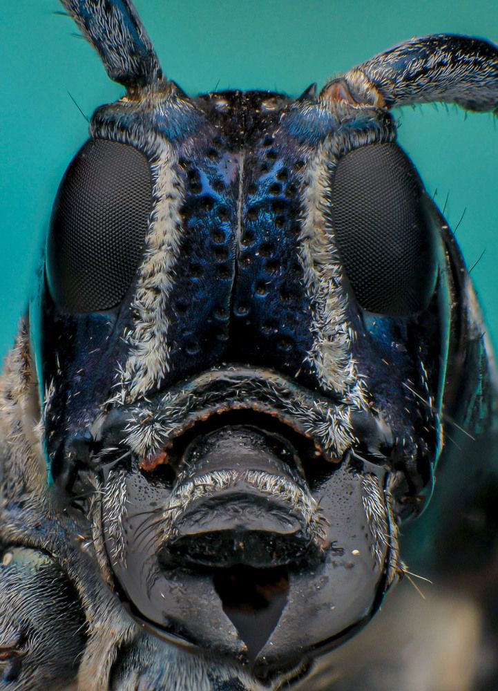 Photograph by Celis Norman