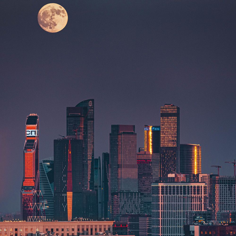 Фотография автора Алексей Звягинцев