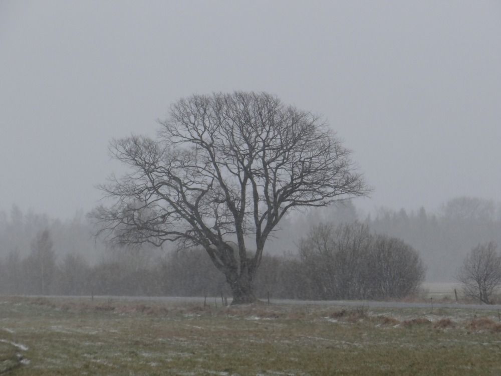 Фотография автора Jevgeni Filimonov