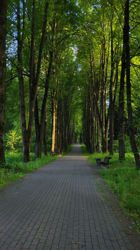 Фотография автора Татьяна Прашкевич