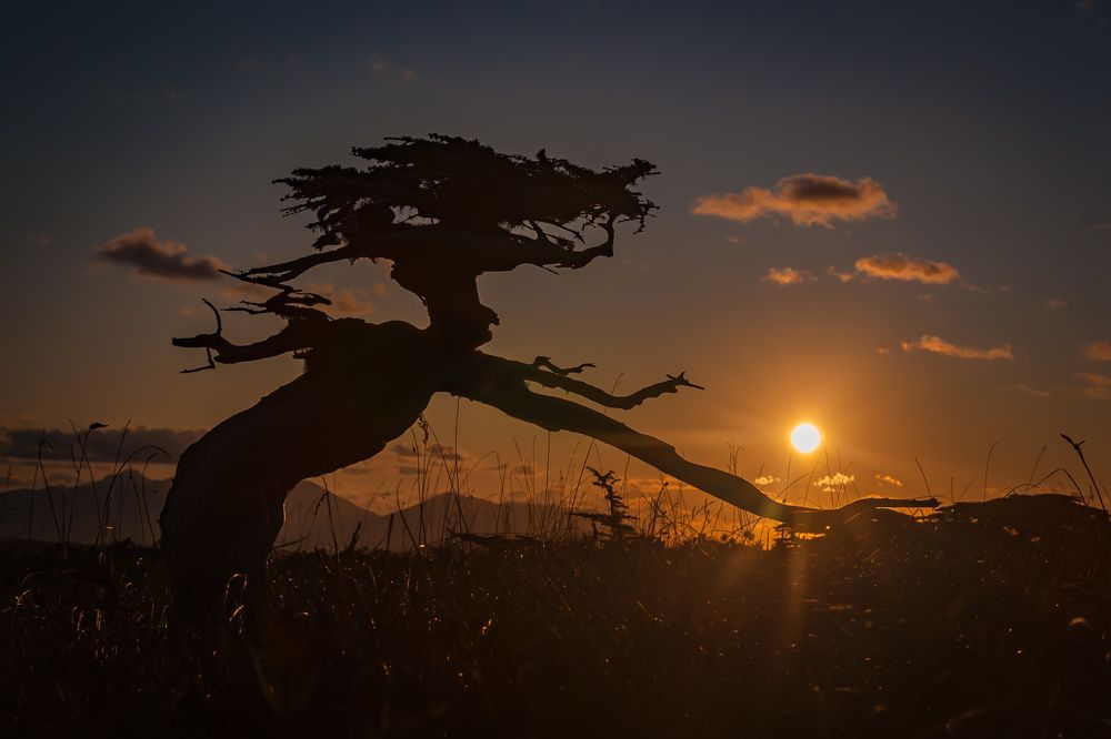 Photograph by Ольга Мусиенко