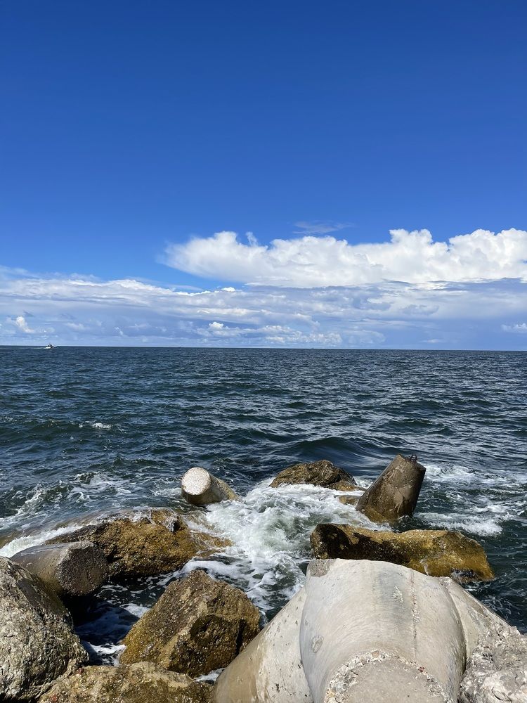 Фотография автора Elena Menshikova