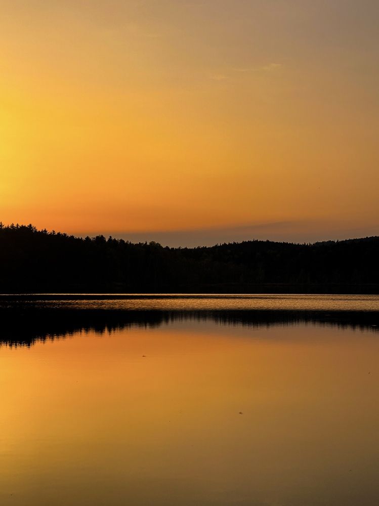 Фотография автора Elena Menshikova