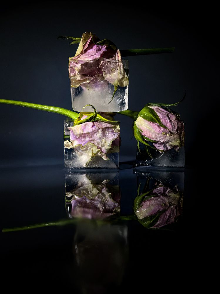 Фотография автора Alyona Madsen