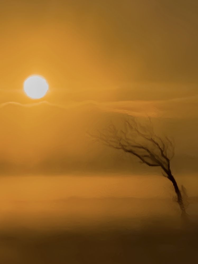 Фотография автора Alyona Madsen