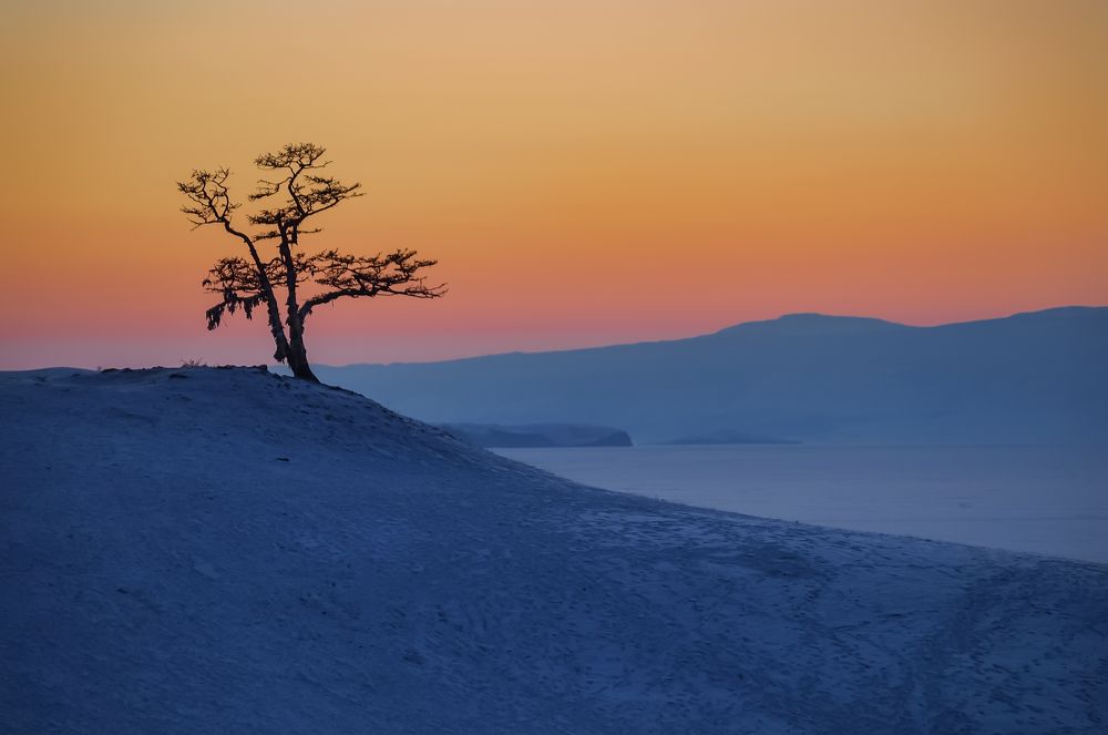 Photograph by Ольга Мусиенко