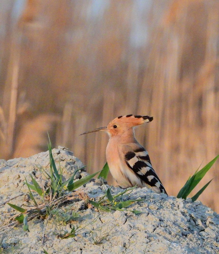 Photograph by Татьяна ТУРСКАЯ